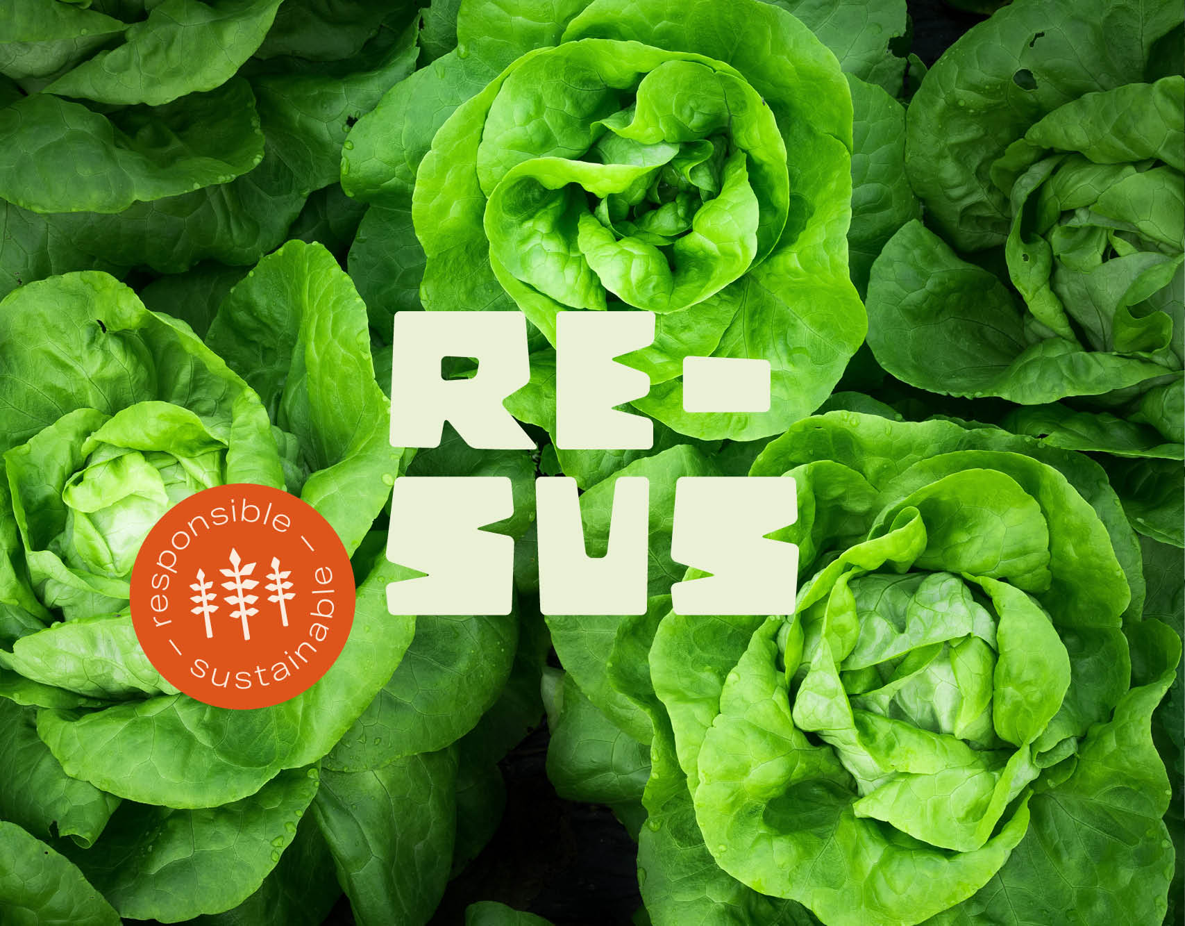 RESUS FOOD - Cameleon Creatives - Visuel identitet - Logo med orange sticker